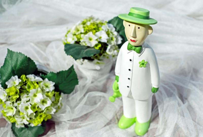 boutique-MANDELIEU LA NAPOULE-min_man-person-flower-green-toy-fig-546529-pxhere.com